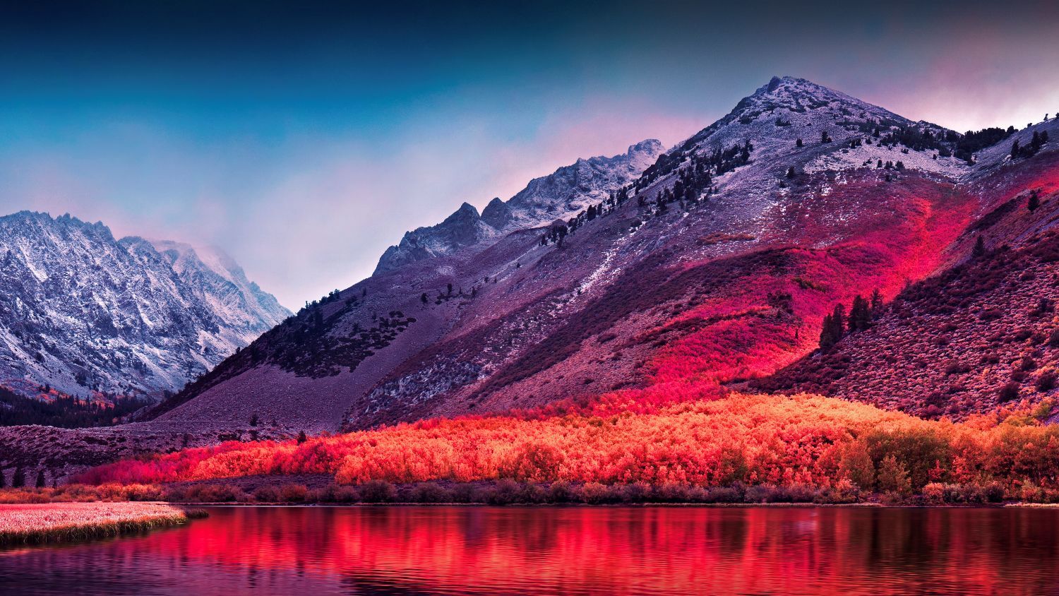 Stuck on a Business Challenge?    There’s Always a Way Forward. Let Sierra Peak Solutions Illuminate Your Path.